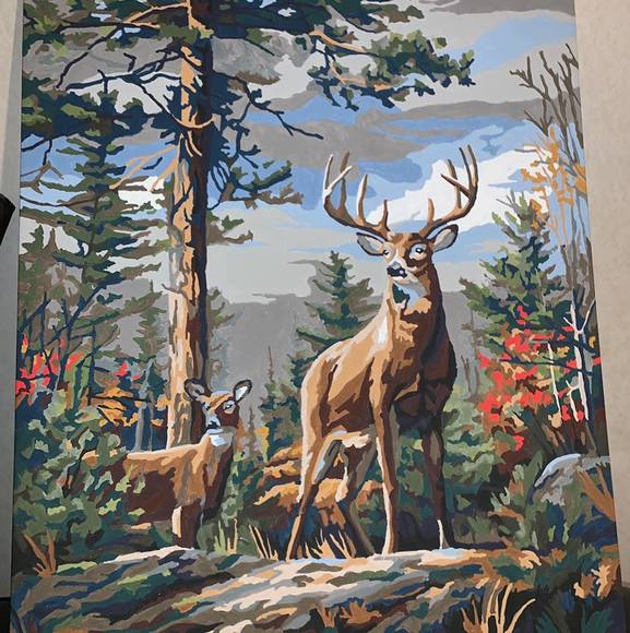 Meet your Posher, James - Picture 1 of 1